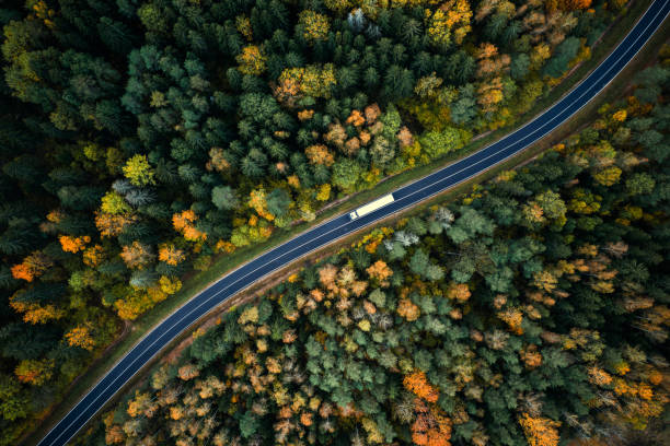 Ein weißer Transporter fährt auf einer kurvenreichen asphaltierten Straße durch einen dichten Wald mit grünem, gelbem und orangefarbenem Laub, von oben gesehen. - NG.network